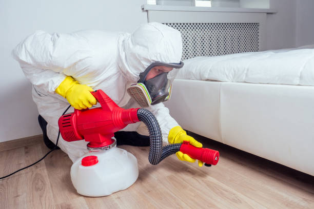 Best Wasp Removal Services  in Golf Manor, OH